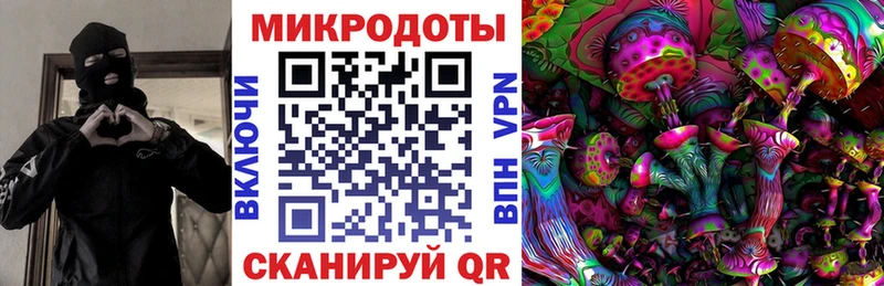 Галлюциногенные грибы Cubensis  купить   Кимры 
