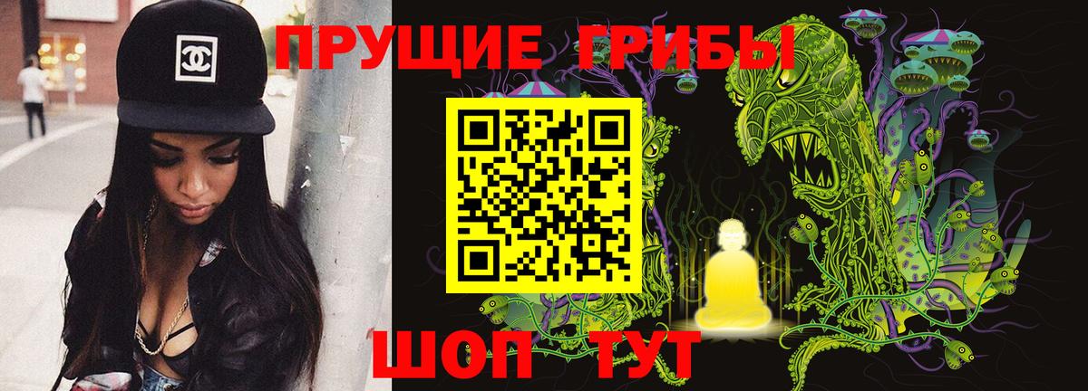 Псилоцибиновые грибы Magic Shrooms  Псилоцибиновые грибы Psilocybine cubensis  Кимры  Вход с VPN 