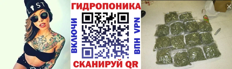 Марихуана SATIVA & INDICA где купить наркоту Кимры